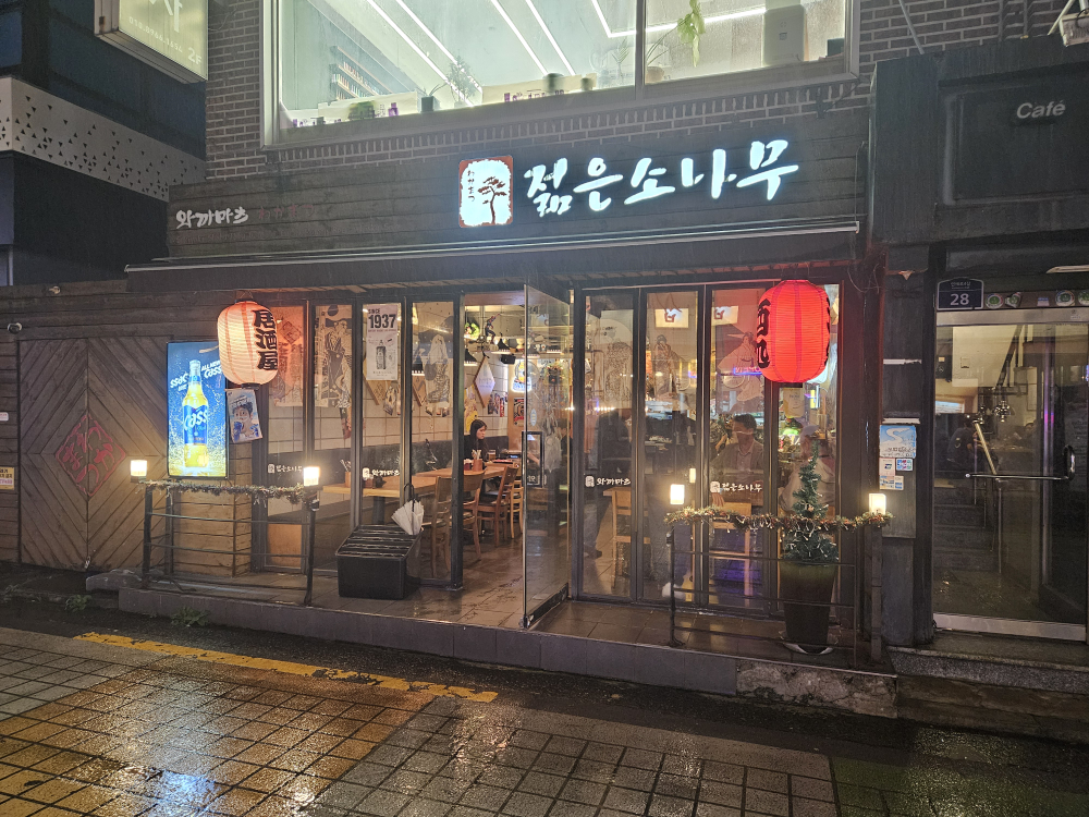 젊은소나무 사진 2