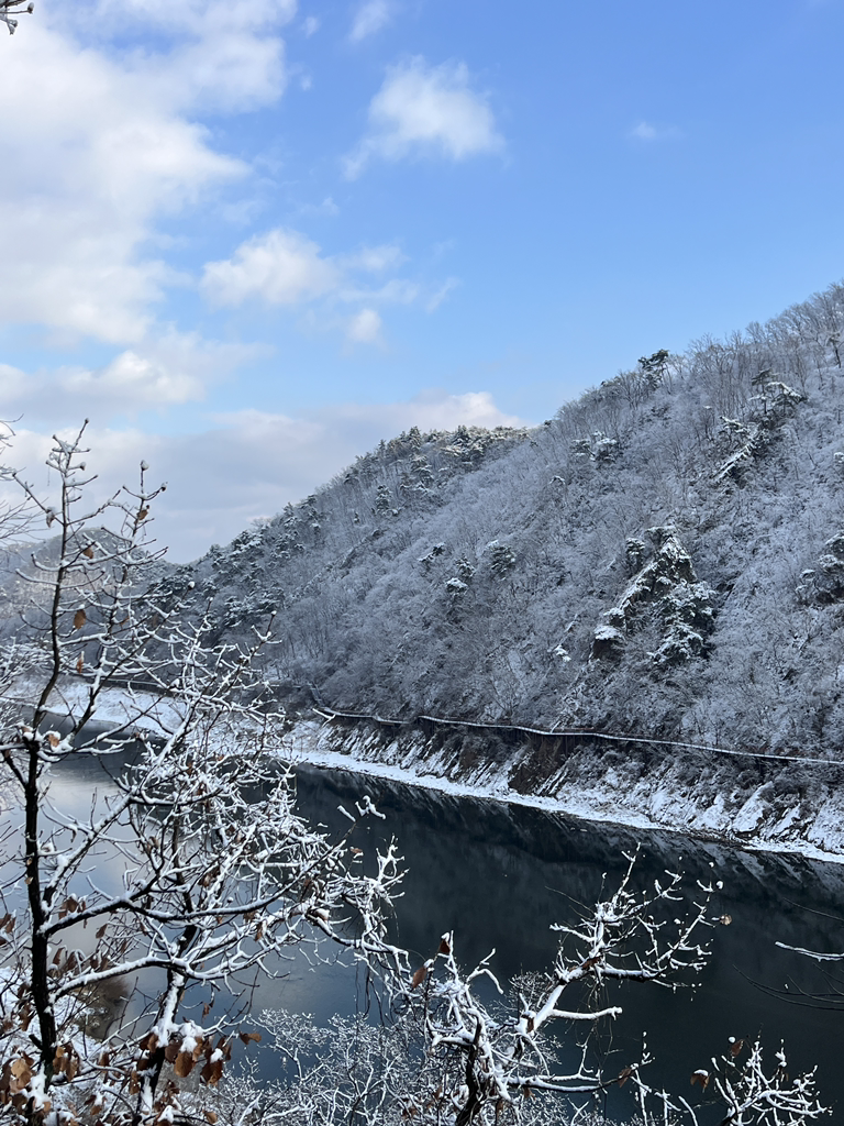 Yeonumisulgwan (연우미술관) 2