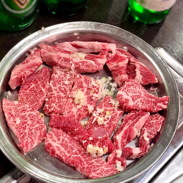 소나무 사진 4