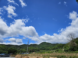 Haengunsikdang (행운식당) 3