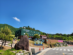 Kapesup (카페숲) 2