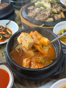 앙심품은도야지 사진 5