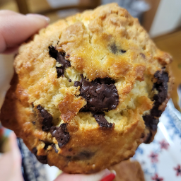 온혜화 사진 7