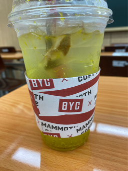 매머드익스프레스 대치점