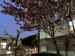 Beonnamujip 6