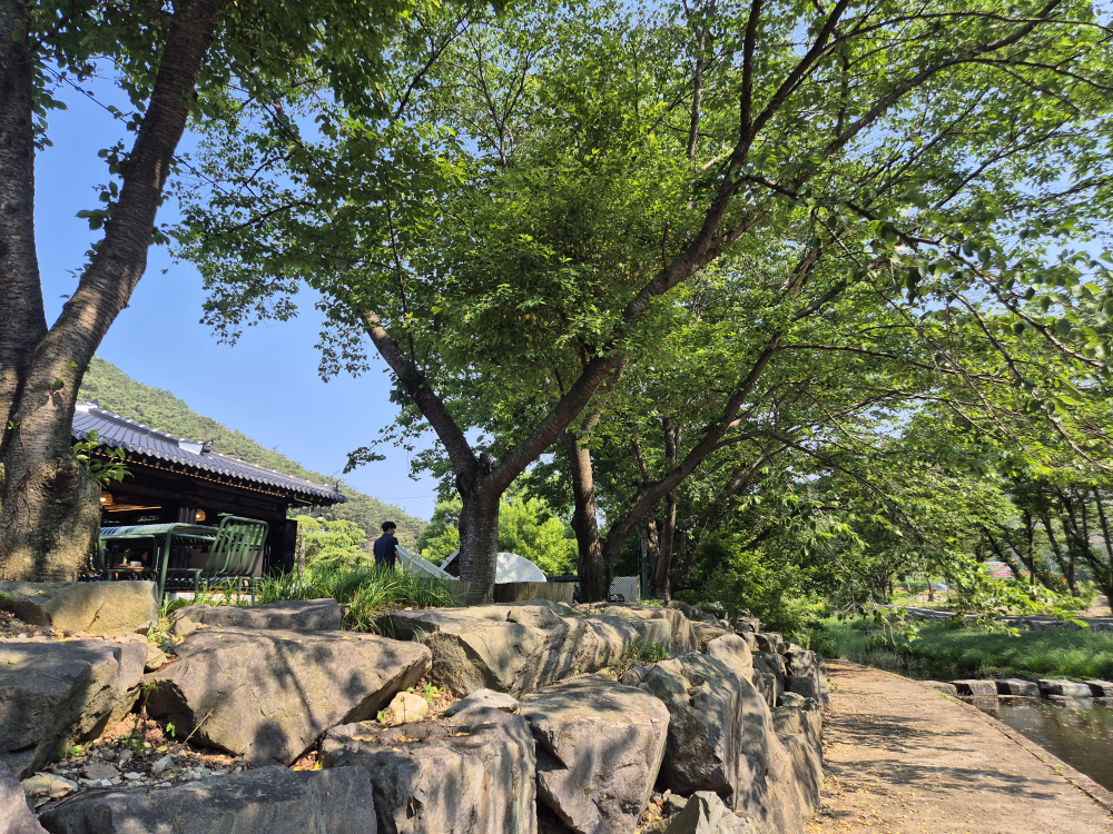 Kapegaon (카페가온) 3