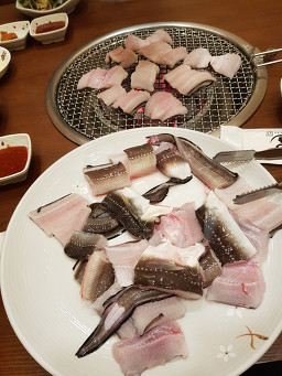 용장어 5