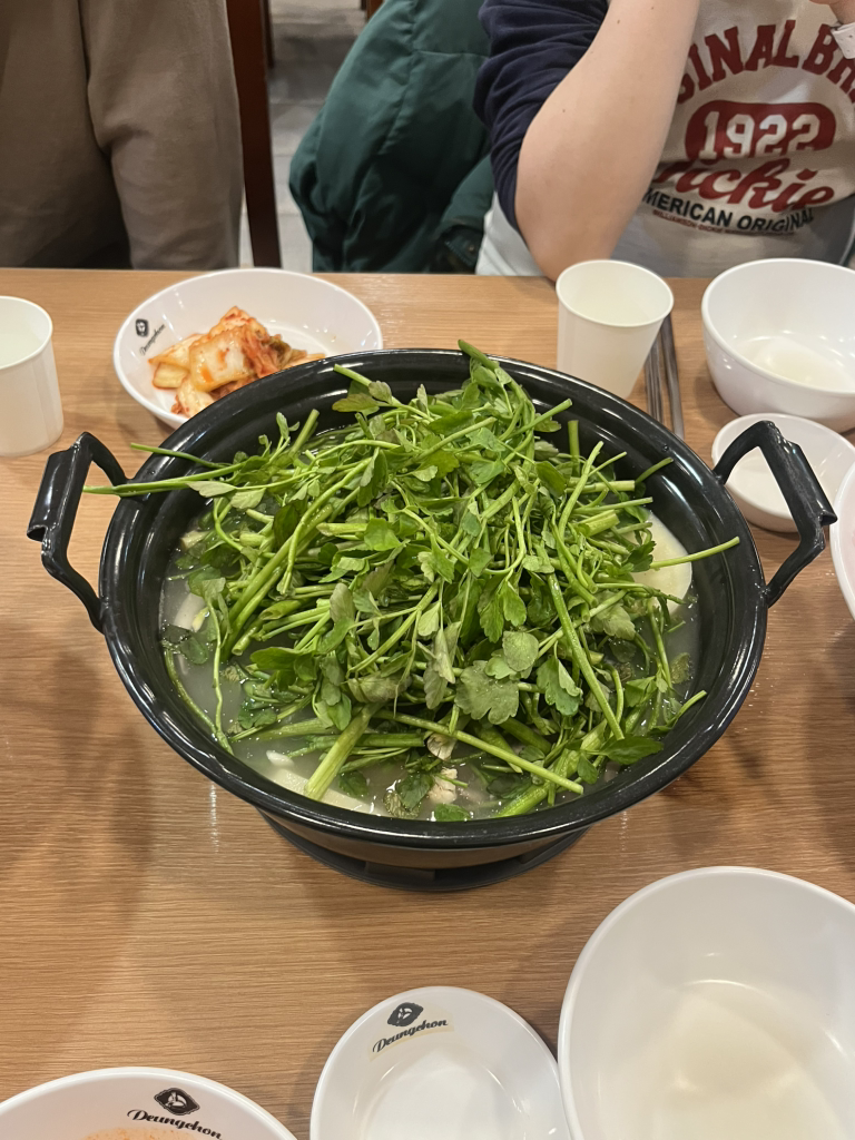 등촌샤브칼국수 4