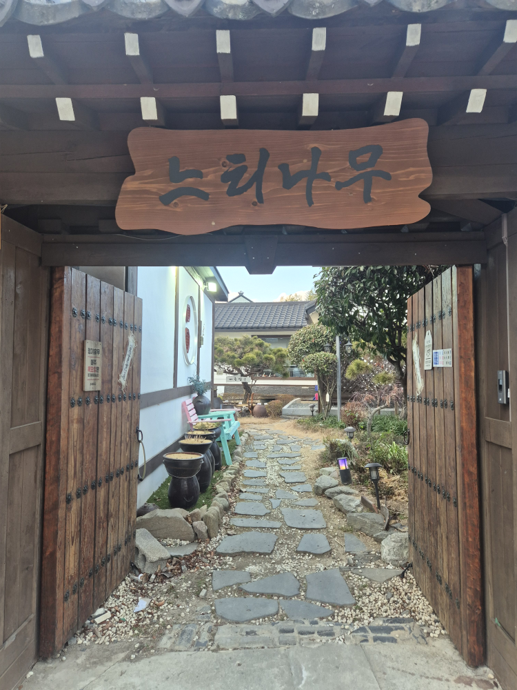 느티나무 2