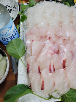 바당회 사진 3