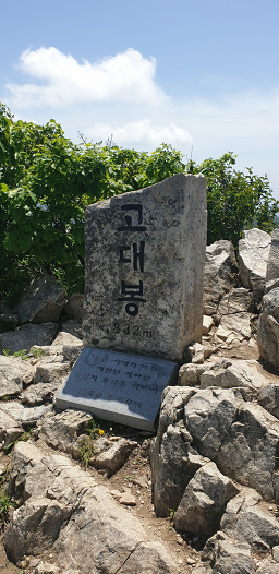 Godaesantongnamujip (고대산통나무집) 3