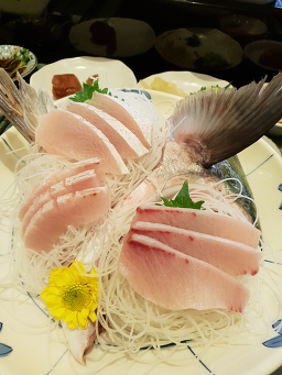 연스시 사진 5