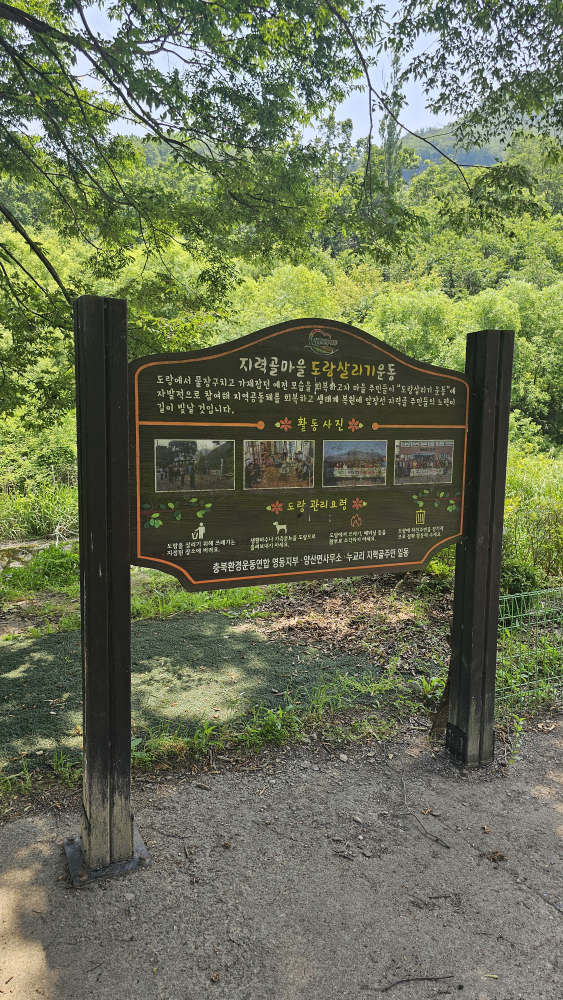 Chondak (촌닭) 3