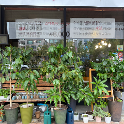 Wondugongjang 6