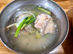 바다복어 5
