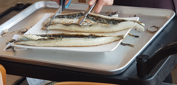보통나루 5