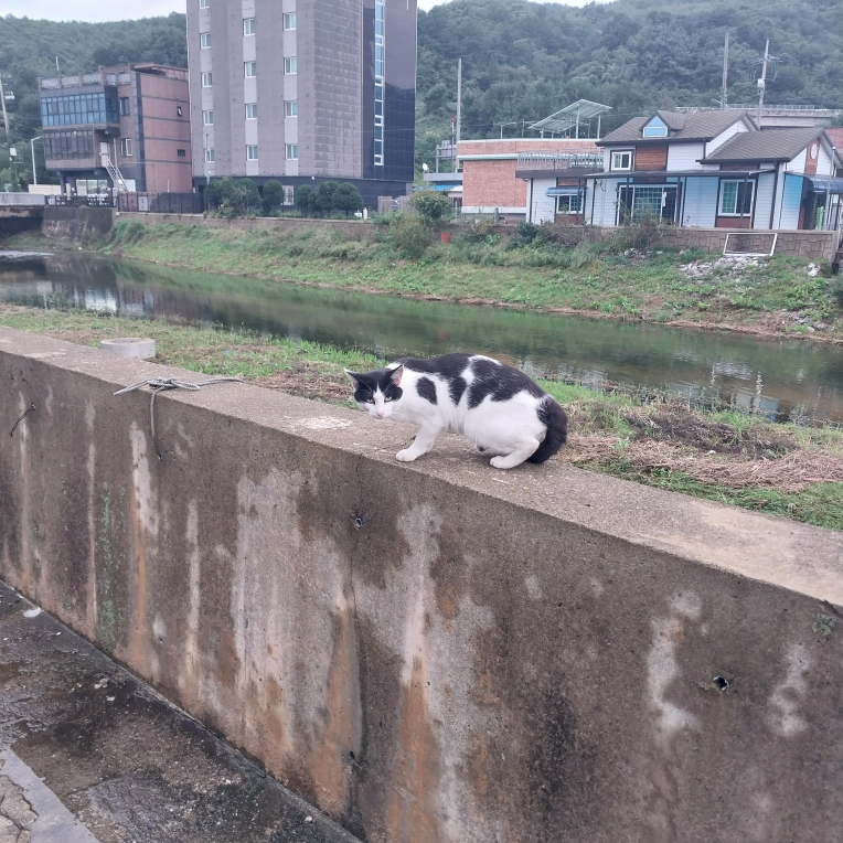 무진장 사진