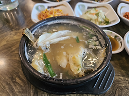 토궁 3