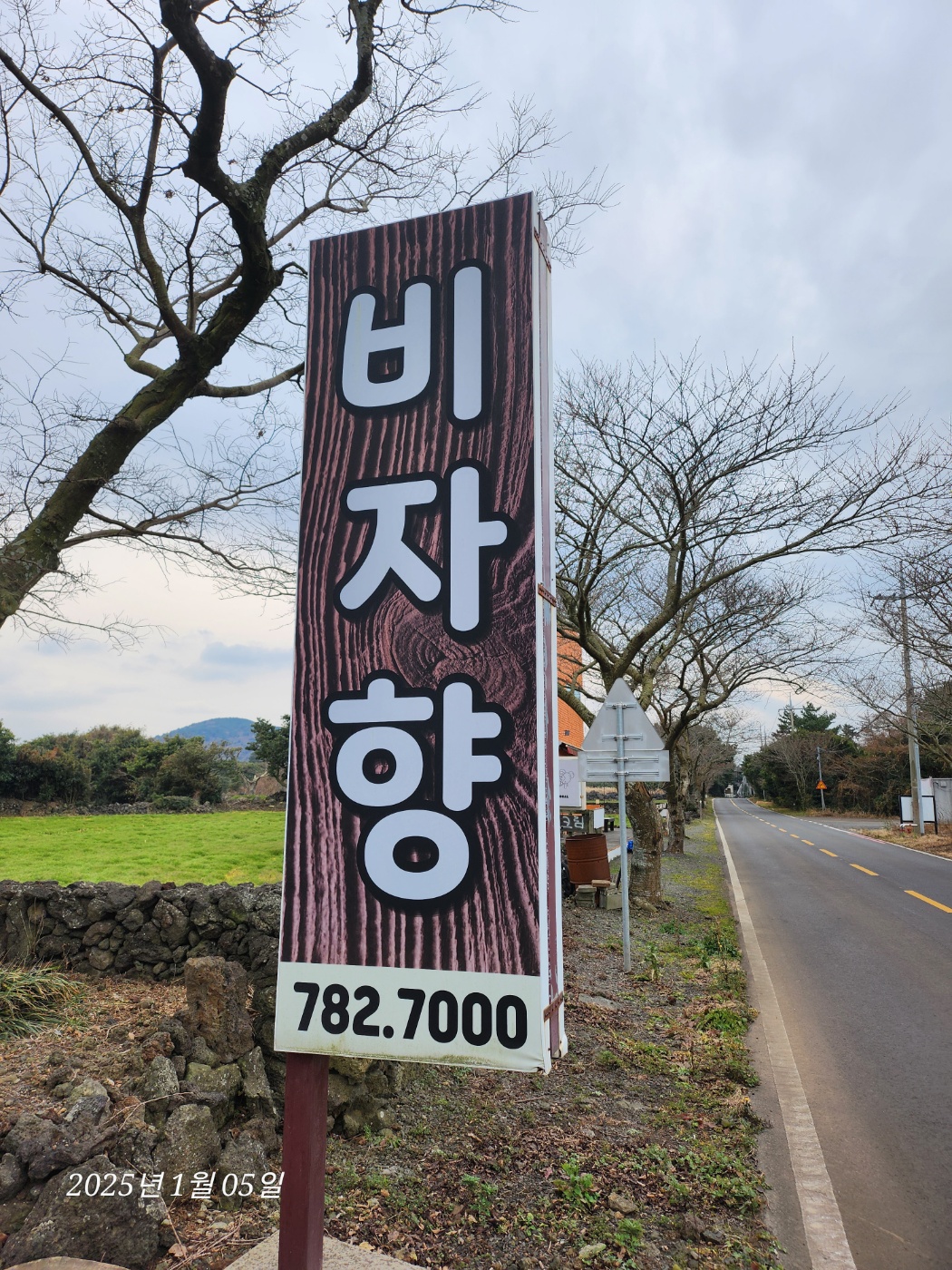비자향 사진 4