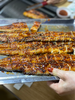 금강장어 1