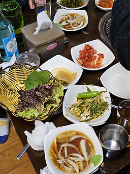 부산갈매기 3