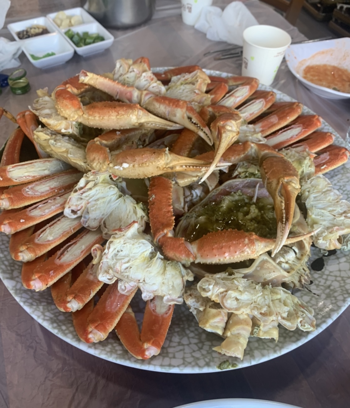 속초대게천국 6