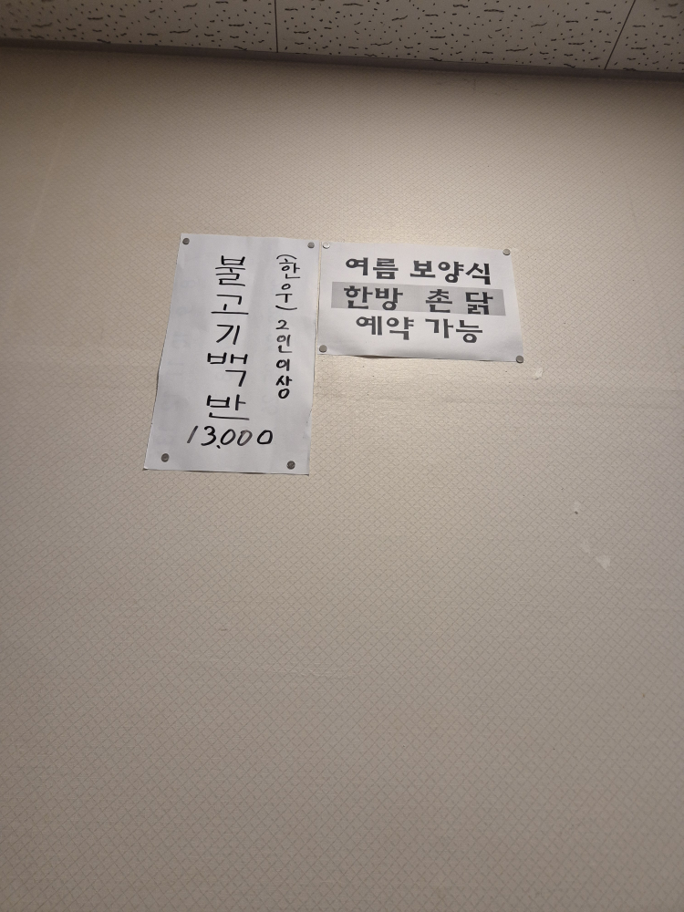 민들레 5