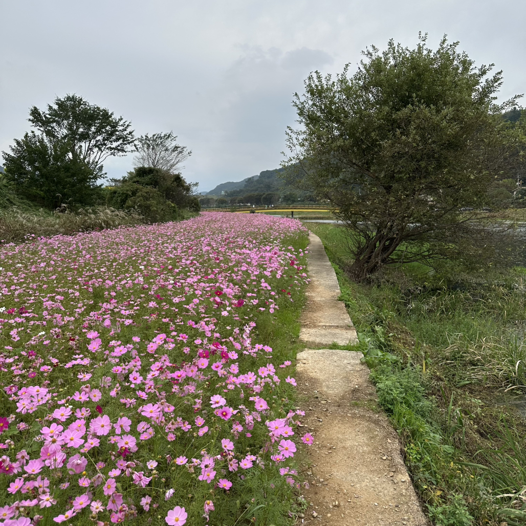 Jensio jangseonghojeom (젠시오 장성호점) 1