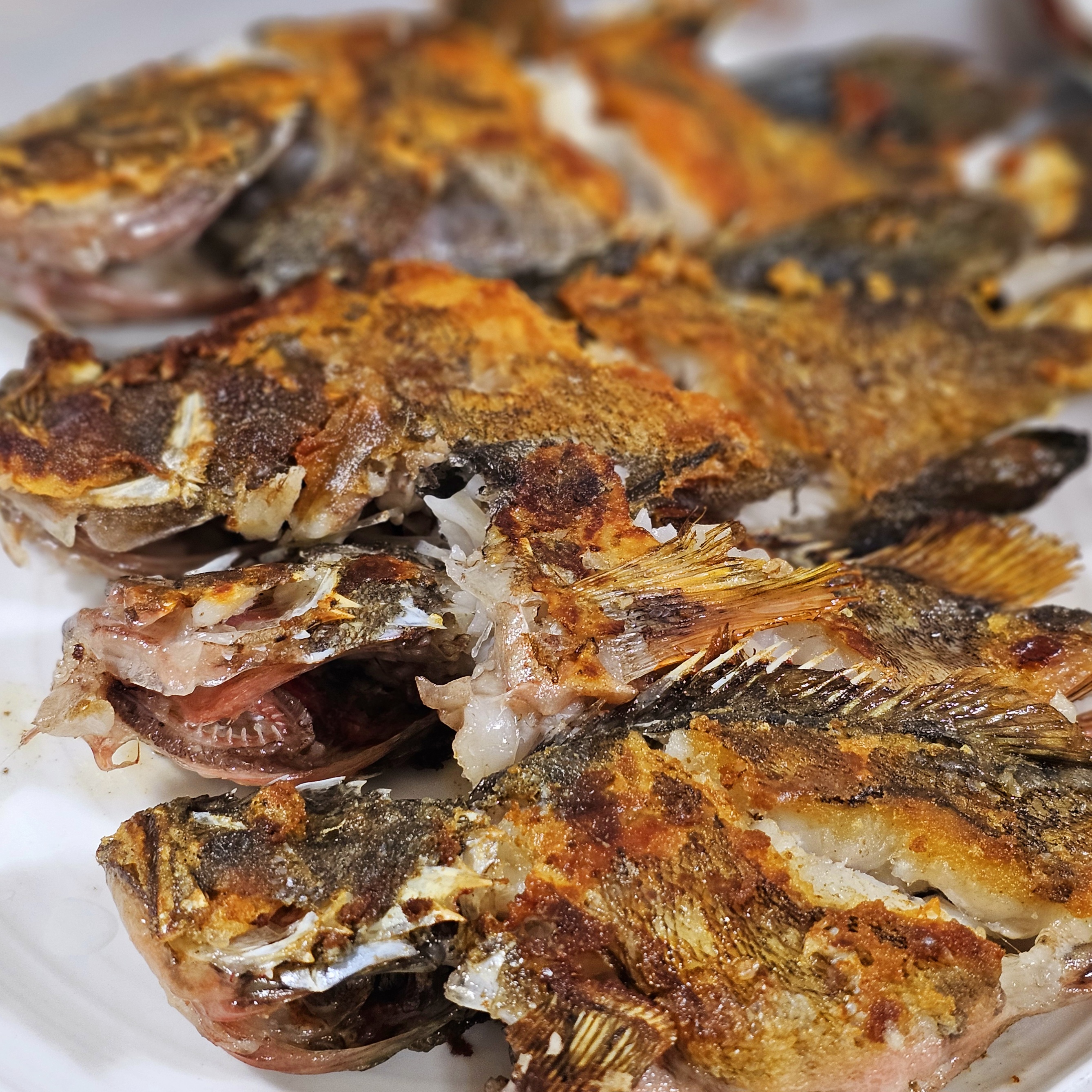 성포회식당 3