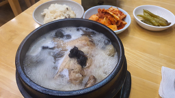 영양센타 2