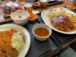 Hongikdonkkaseu (홍익돈까스) 2