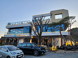 Todamgol 6