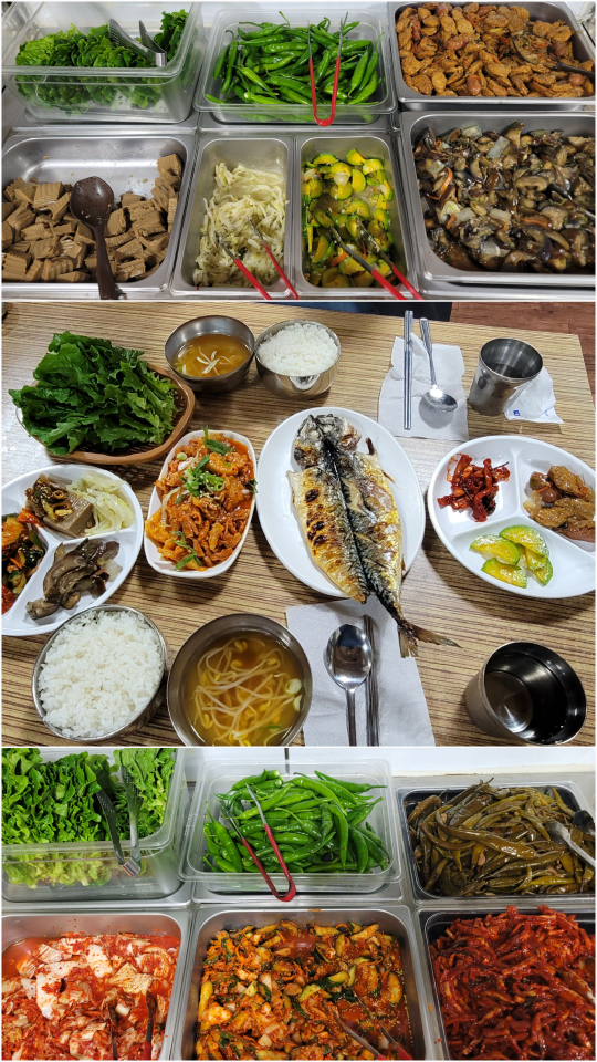 백리향 사진 5