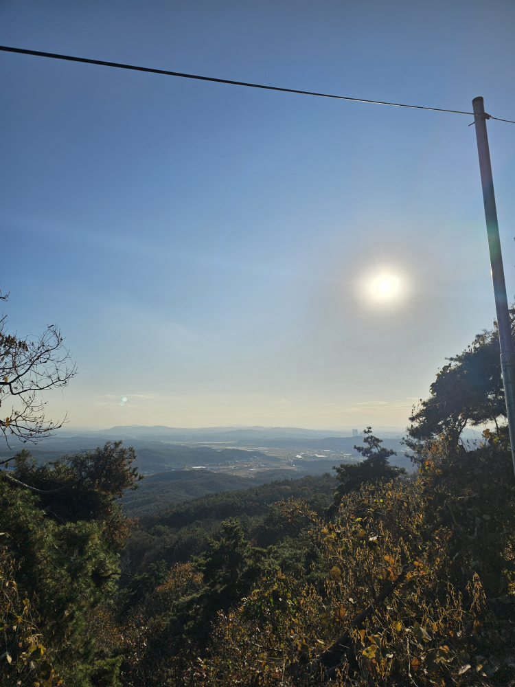 동락원 사진