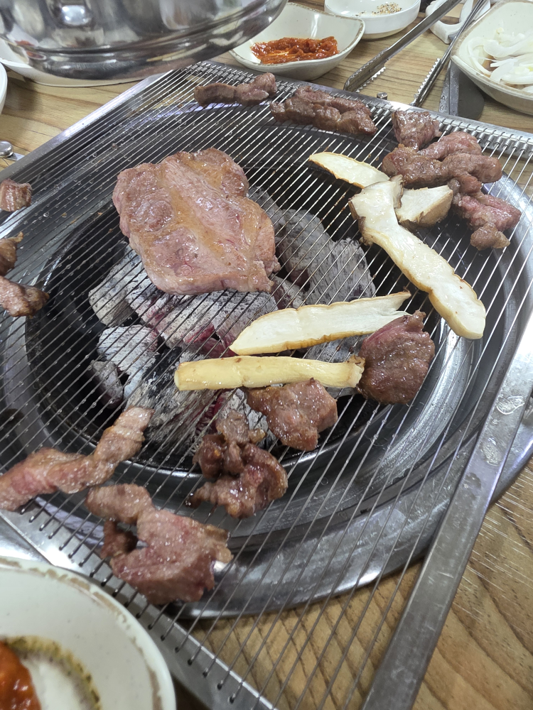 백송 1