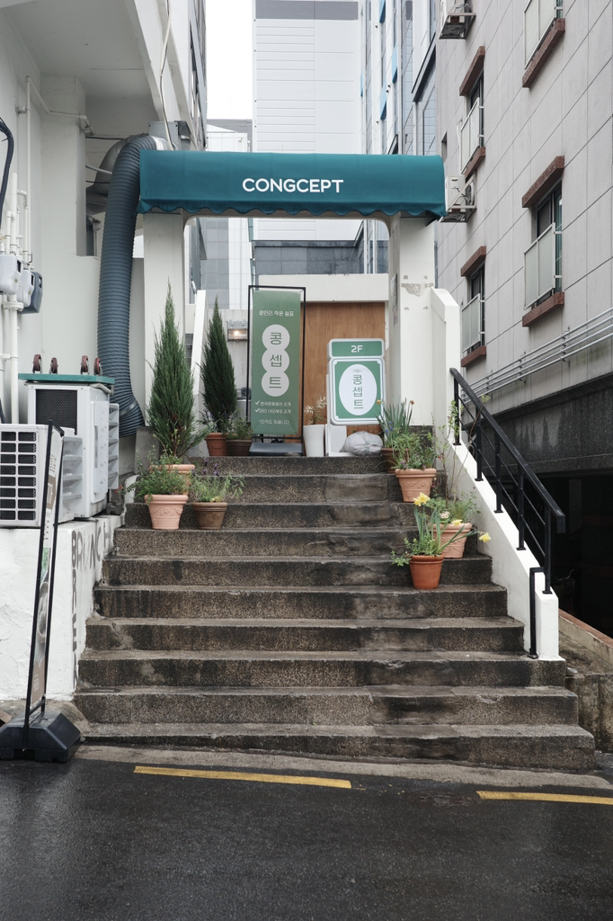 콩셉트