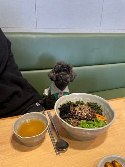 새벽식당 5