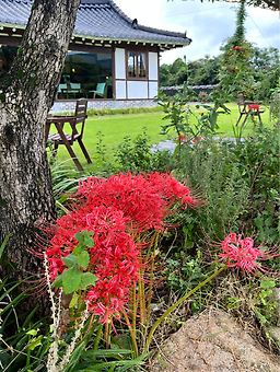 Kapemasil (카페마실) 3