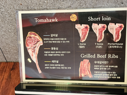 푸디1354 5