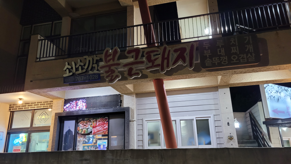 쇠소깍불근돼지 사진 2