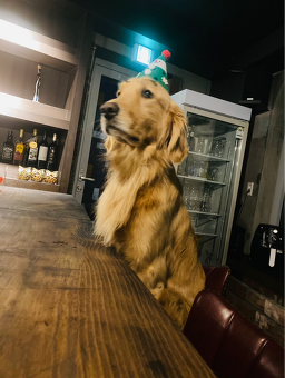 소호17번지 사진 8