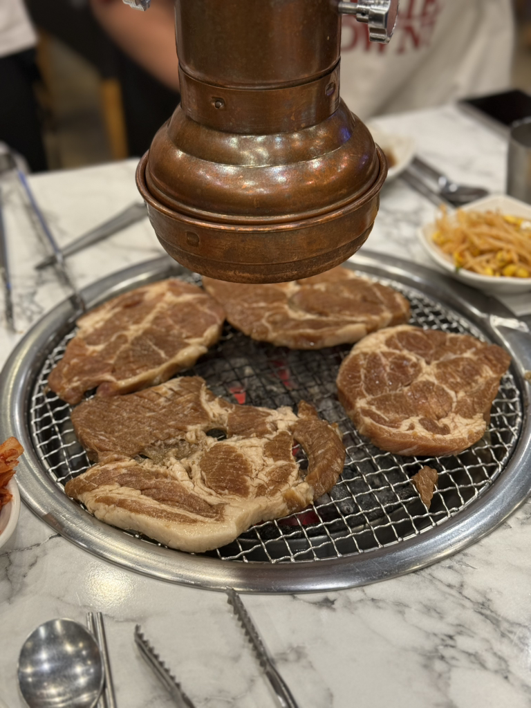 Hwangjemuhanhwarogui (황제무한화로구이) 3