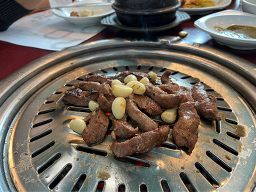 유명갈매기 1