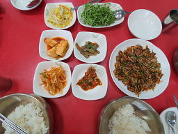 쭈꼬막 1