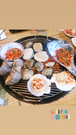 물찬조개 사진 7