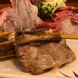 달빛참치 3