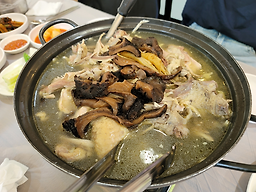 Hyoseongpyeonbaeksupgadeun (효성편백숲가든) 2