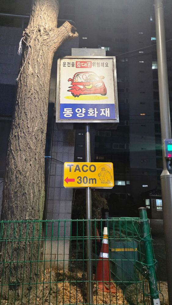호타코 사진 8