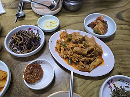 산수정 사진 3