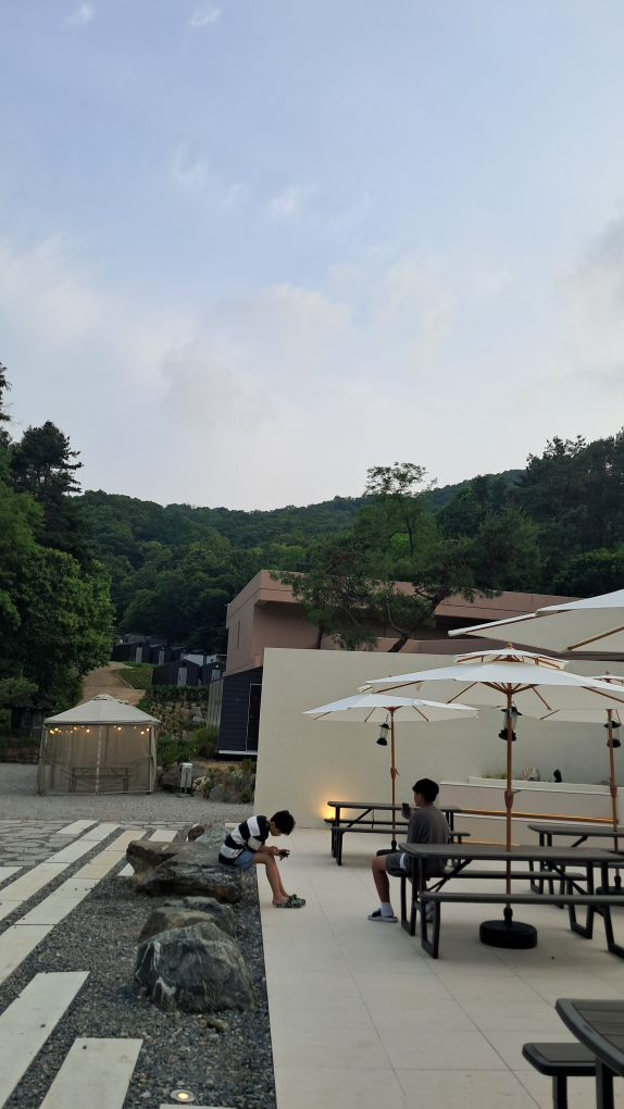 와싸라비아 6